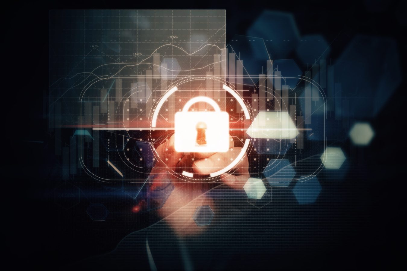 Cyber seguridad marca blanca (2)